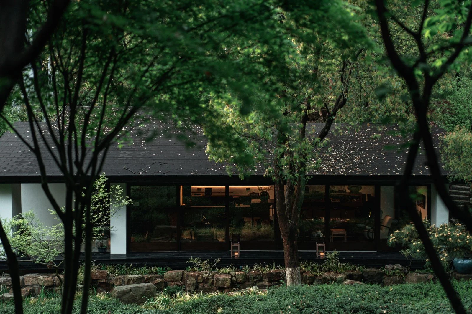 春山在望竹林环抱建筑全景
