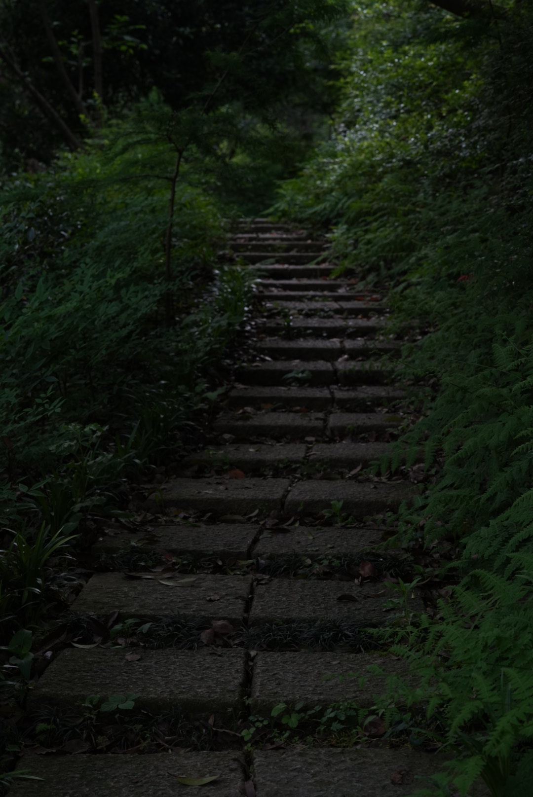 70亩山林步道