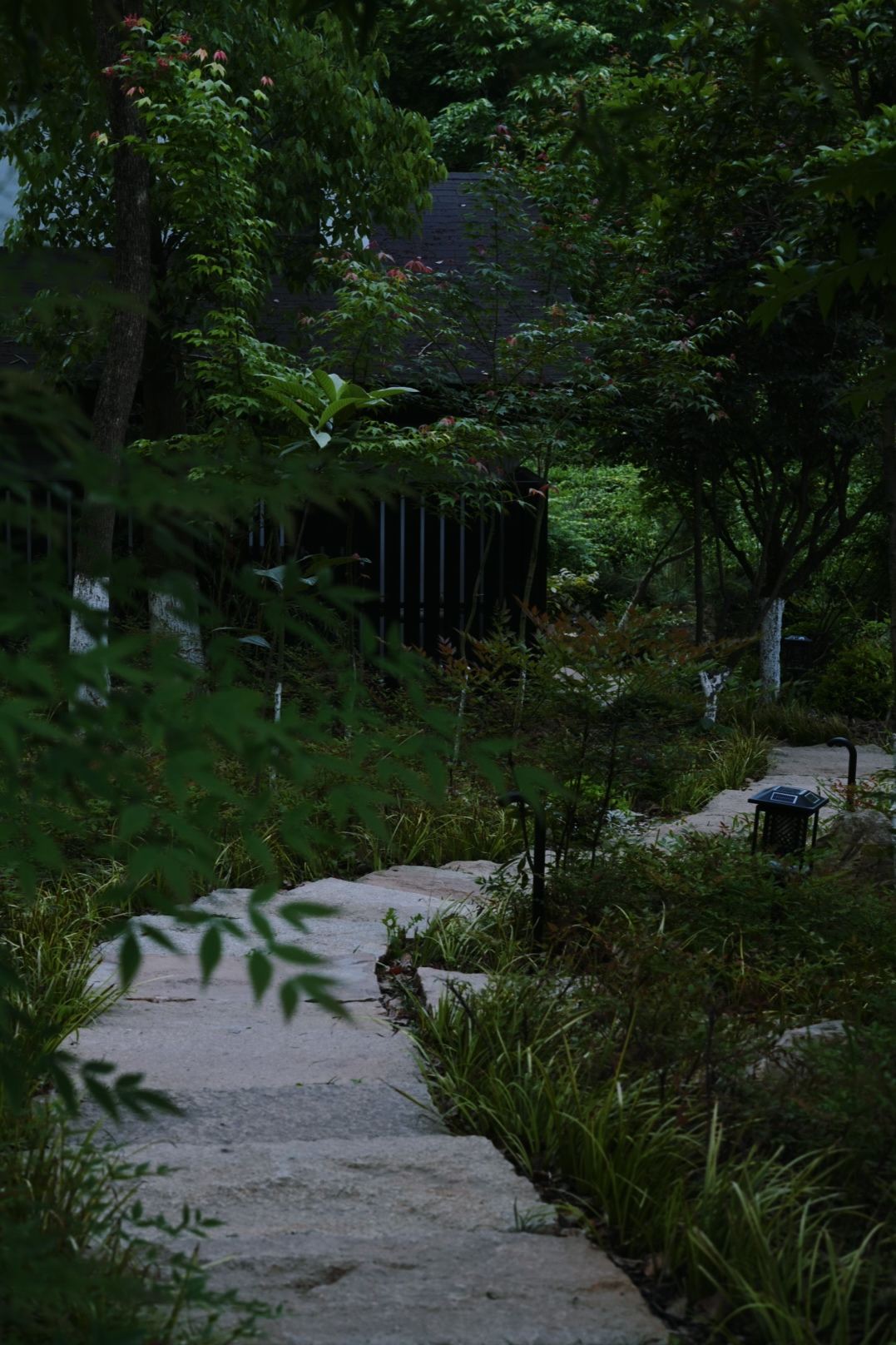 70亩山林步道