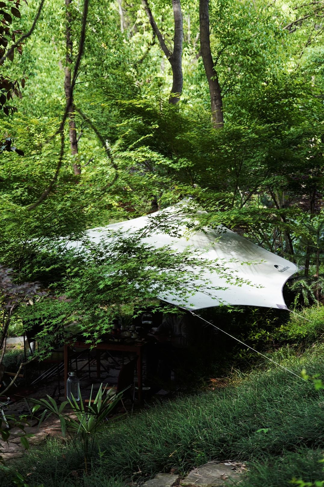 70亩山林步道
